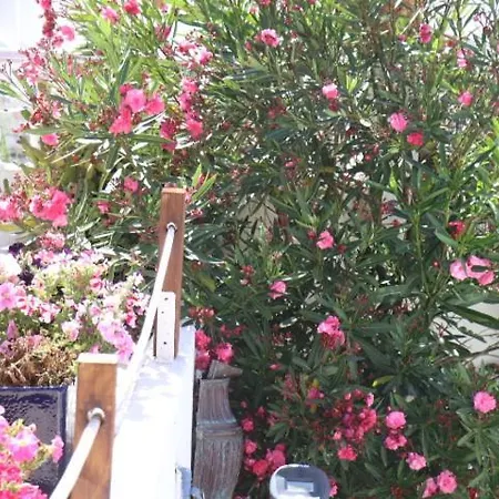 Nocleg ze śniadaniem Mappamundo Ribamar (Torres Vedras)