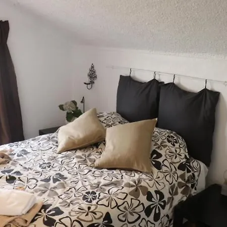 Mappamundo ריבמר