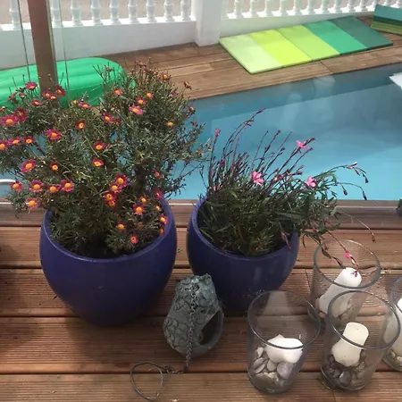 Mappamundo ריבמר